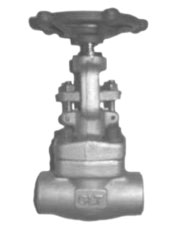 GLT Forged Steel Globe Valve