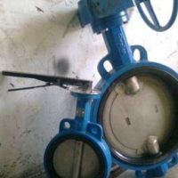 BUTTERFLY VALVE